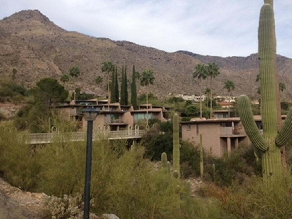 Mission Hills Casitas By Arizona Housing Solutions - Pv8 Villa Oro Valley Ruang foto